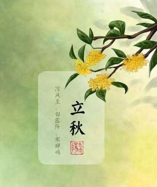 第382页