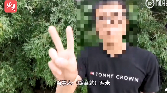 第441页