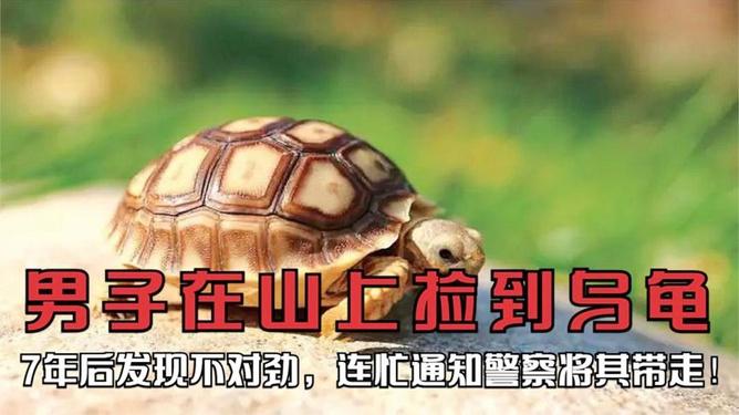 第264页