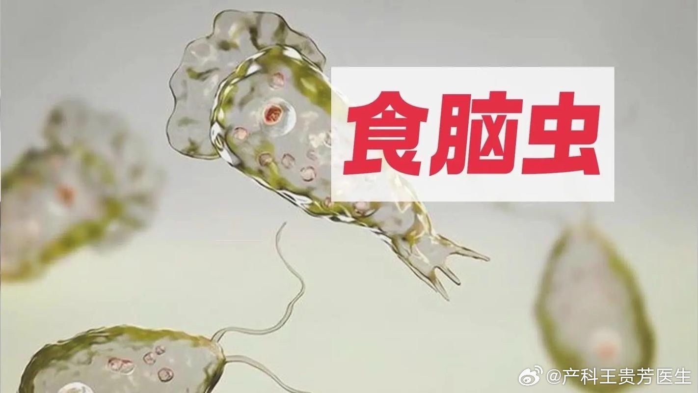 感染食脑虫60天去世